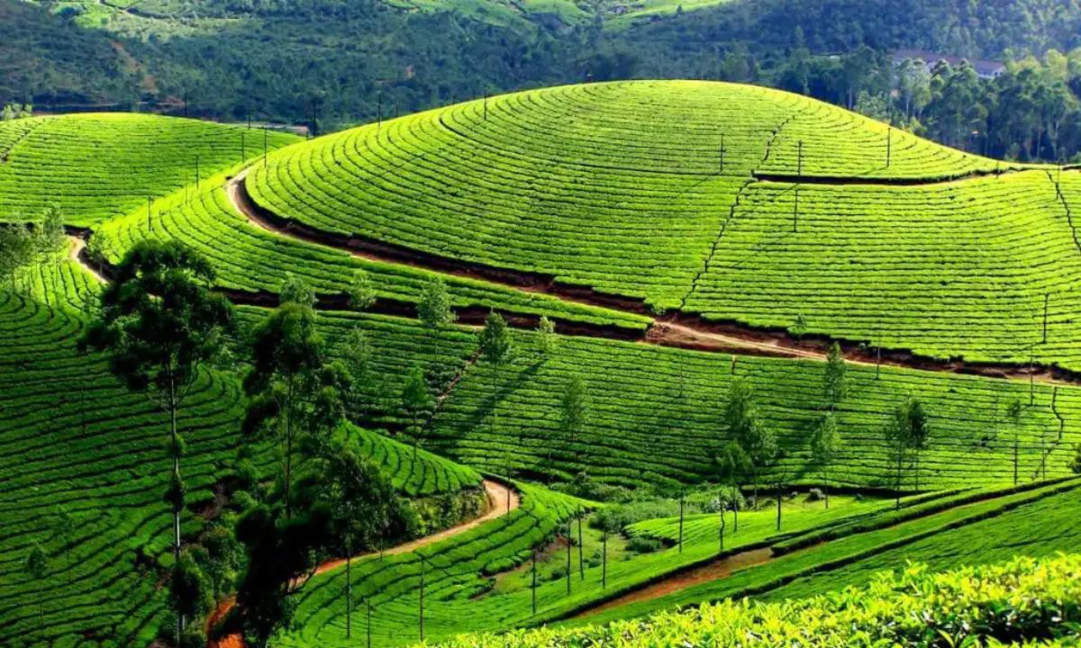 Best Places to Visit in March in India with Family